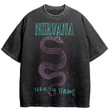 Nirvana rock band men's Retro cotton Washed Tee In Utero album man Women's oversized Y2K distress Tshirt Casual Loose streetwear