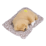 Realistic Sleeping Dog Adorable Sleeping Puppy Children Toys Decorations Gifts for Boys GirlsLabrador