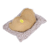 Realistic Sleeping Dog Adorable Sleeping Puppy Children Toys Decorations Gifts for Boys GirlsLabrador