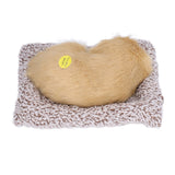 Realistic Sleeping Dog Adorable Sleeping Puppy Children Toys Decorations Gifts for Boys GirlsLabrador